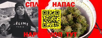 не бодяженный Новокубанск