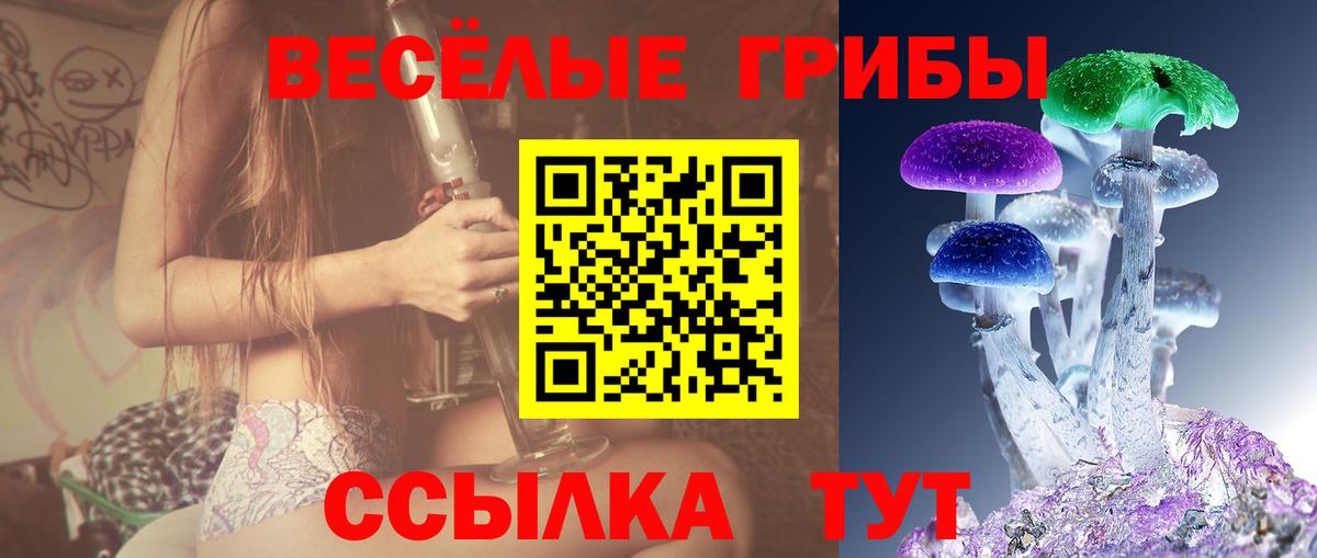 Тамбов  Псилоцибиновые грибы Magic Shrooms  купить   Вход с VPN 