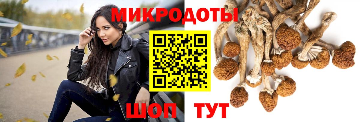 Псилоцибиновые грибы Magic Shrooms Тамбов